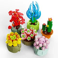 Succulent Desktop Decoration