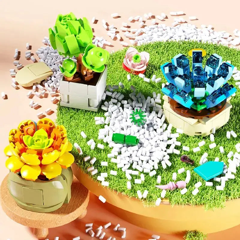 Succulent Desktop Decoration
